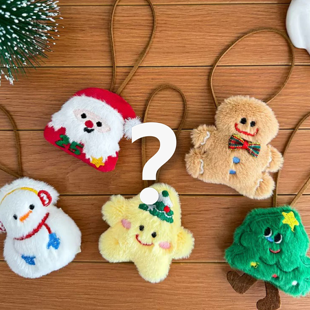 William's Christmas Mystery Box Gift Box