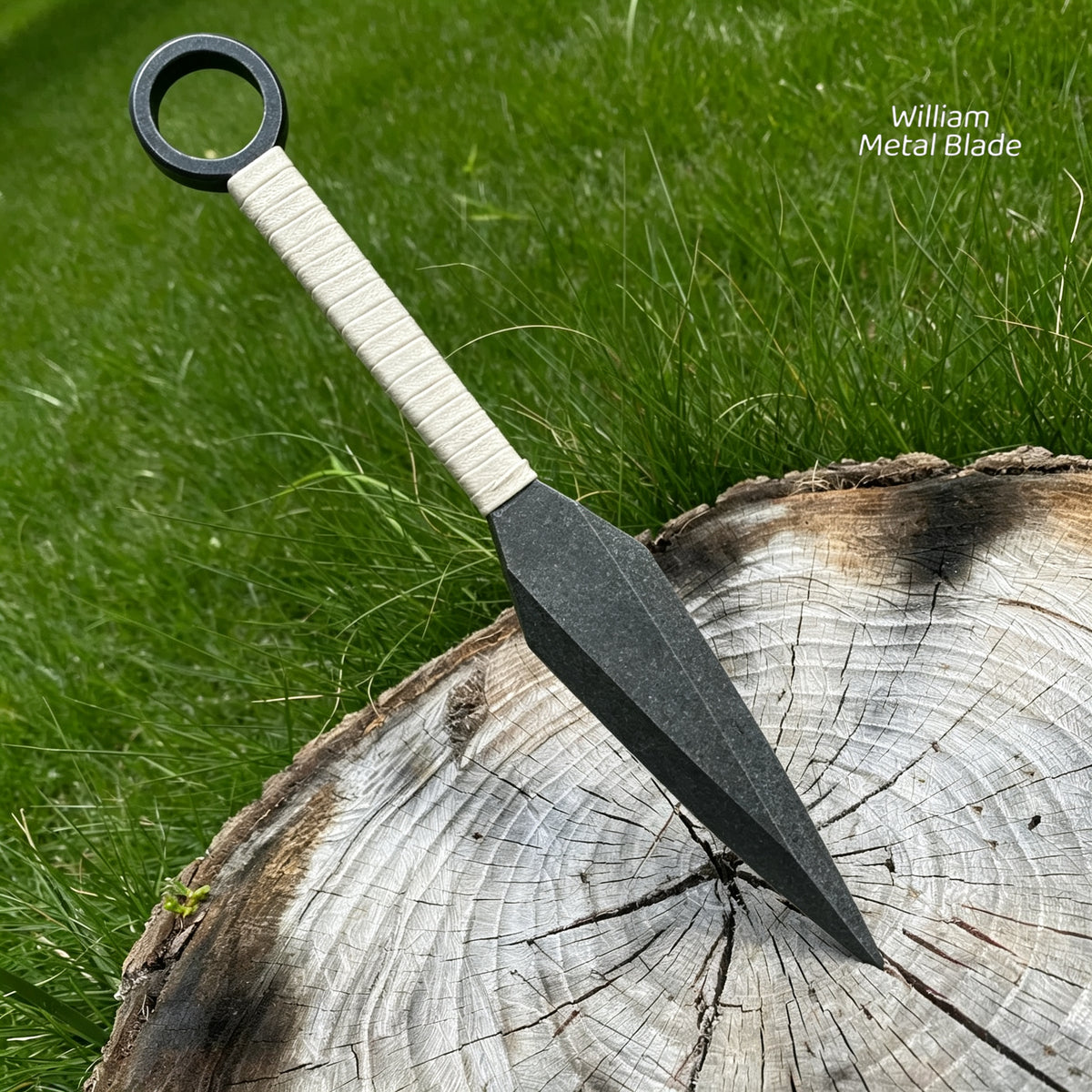 25CM/9.9" Dark Thorn CR12MOV Steel Outdoor Tool Kunai
