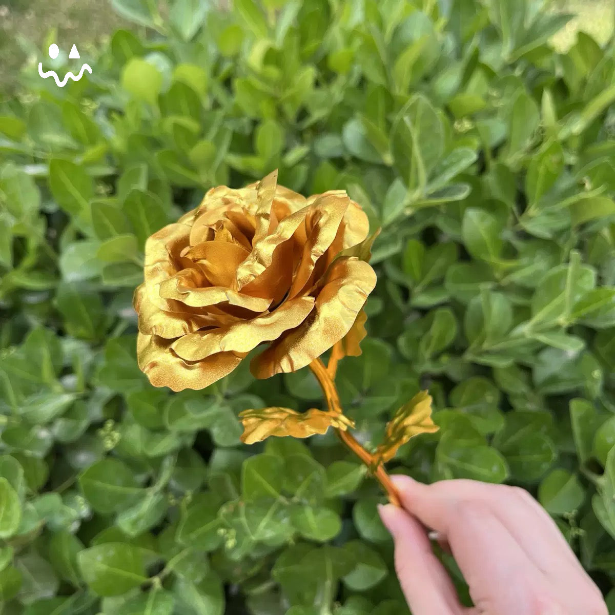 Delta Force Gold Rose Flower PU Replica